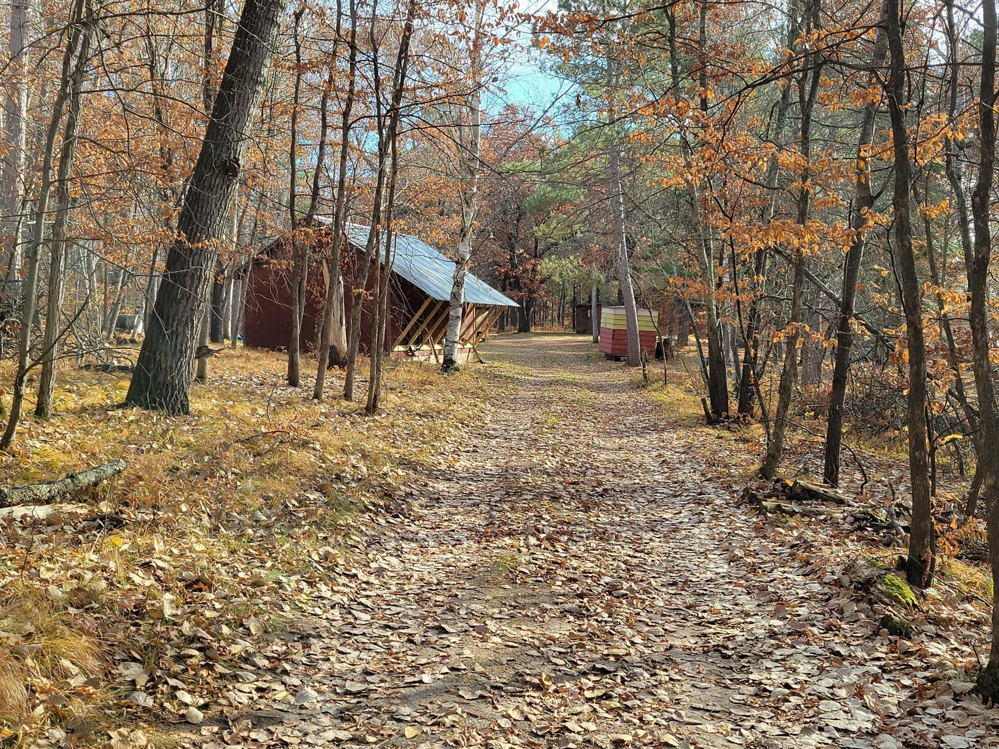 From pole building towards shed