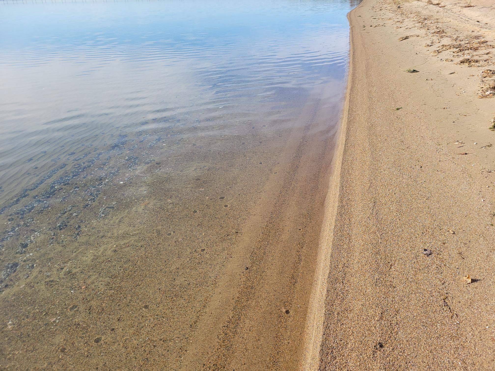 Beautiful water & shoreline!