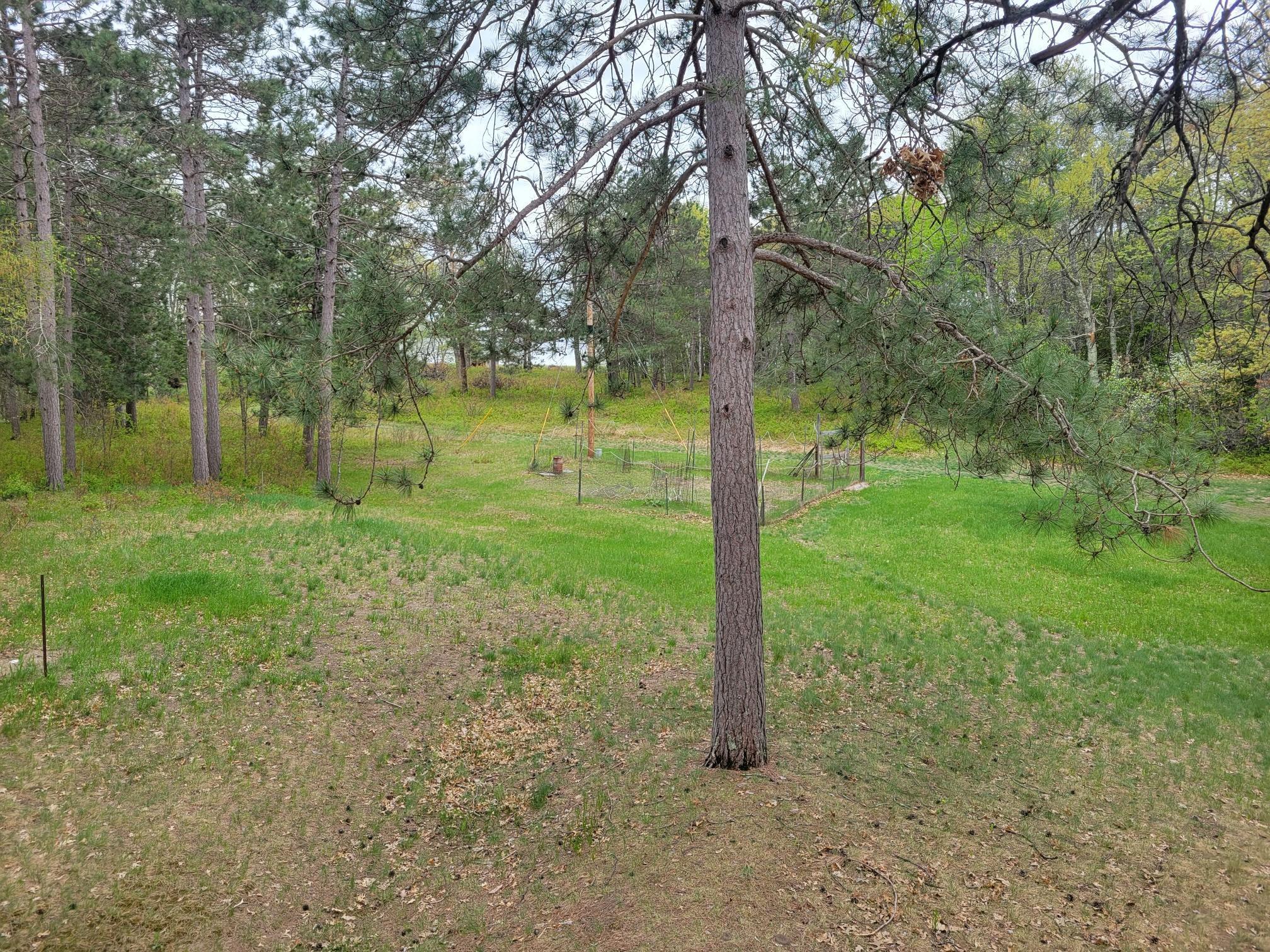 The yard towards the lake