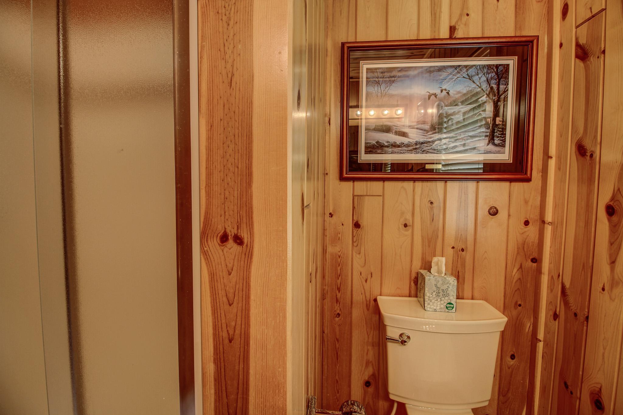 Second Bathroom Shower.jpg