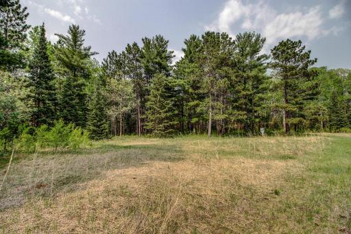 31321 Forest Trail, Park Rapids, MN 56470