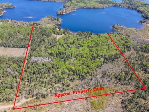 31321 Forest Trail, Park Rapids, MN 56470