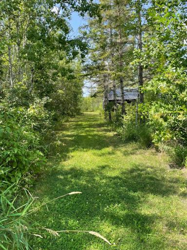 Photo for 33278 290th Avenue, Badger, MN 56714 - Listing #6373805 33278 290th Avenue, Badger, MN 56714