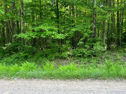 View from the street 2