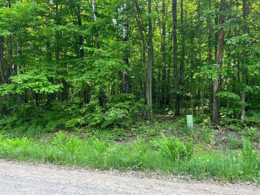 View from the street