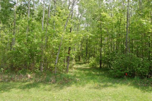 Lot 29 Twilight Court, Emily, MN 56447