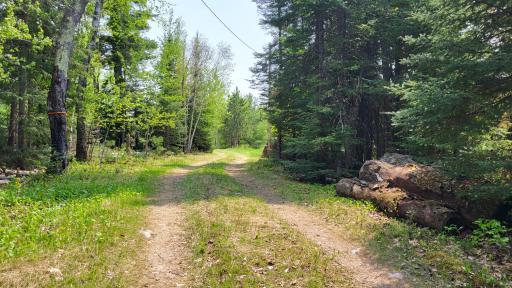 Photo for 10719 Bessette Road, Orr, MN 55771 - Listing #6375889 10719 Bessette Road, Orr, MN 55771