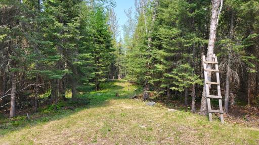 Photo for 10719 Bessette Road, Orr, MN 55771 - Listing #6375889 10719 Bessette Road, Orr, MN 55771