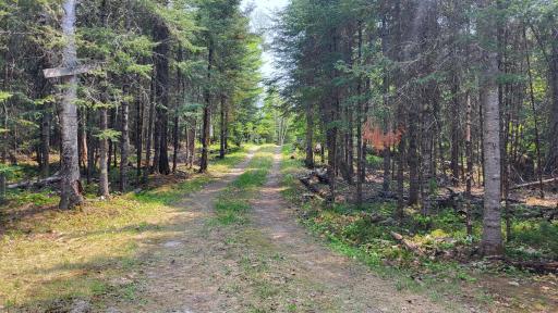 Photo for 10719 Bessette Road, Orr, MN 55771 - Listing #6375889 10719 Bessette Road, Orr, MN 55771