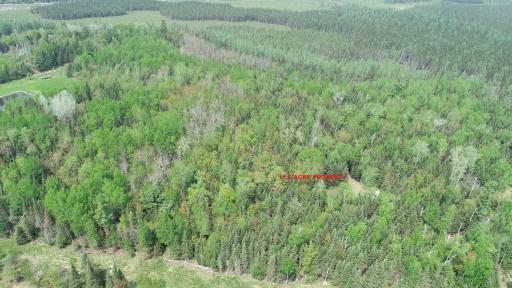 10719 Bessette Road, Orr, MN 55771