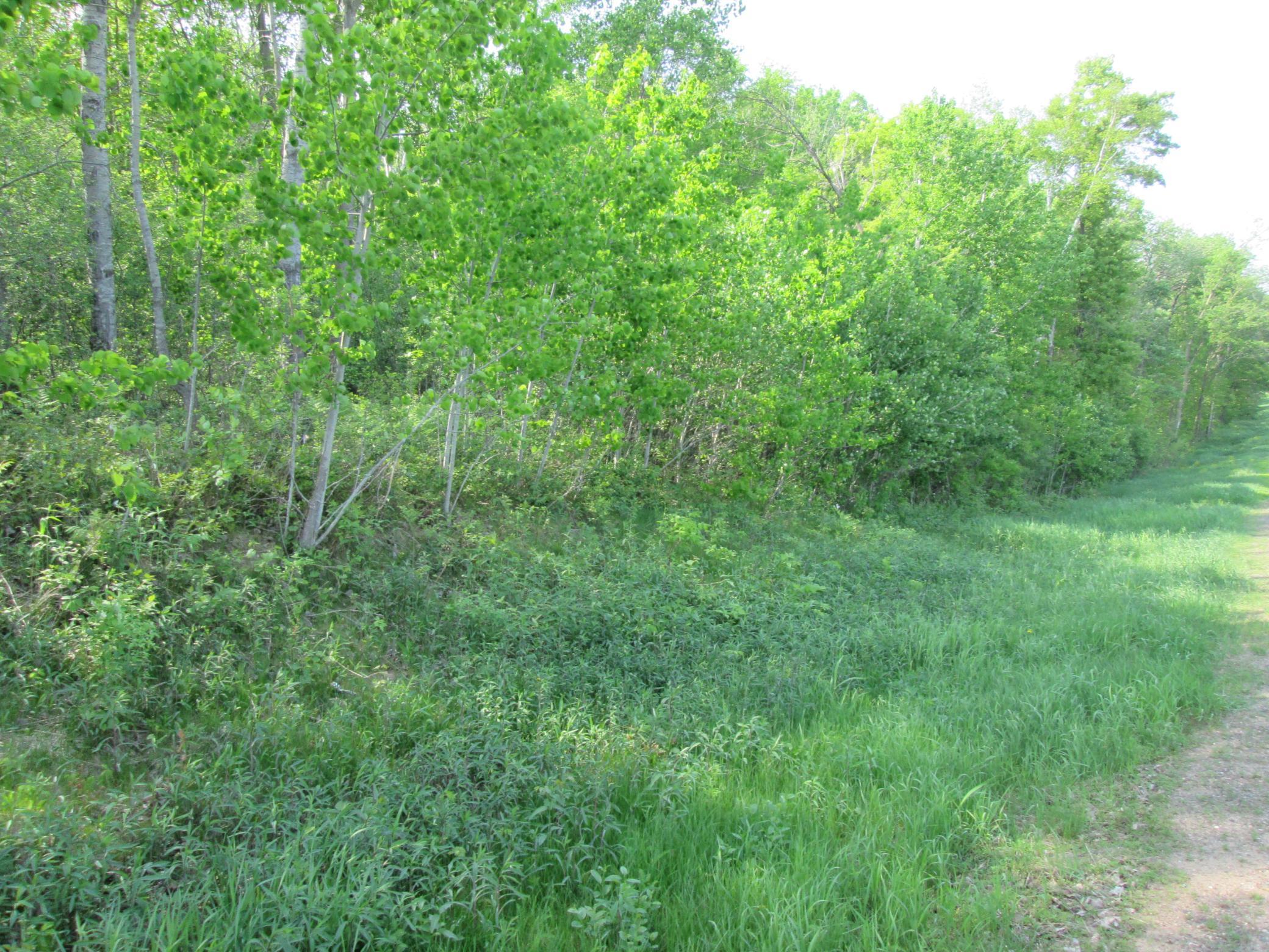 IMG_6823.JPG