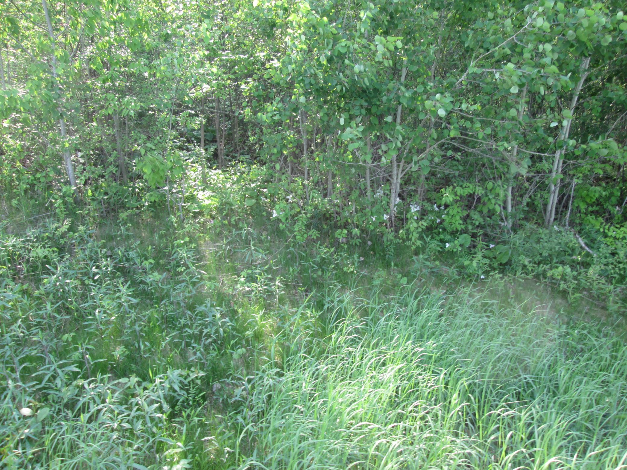 IMG_6824.JPG