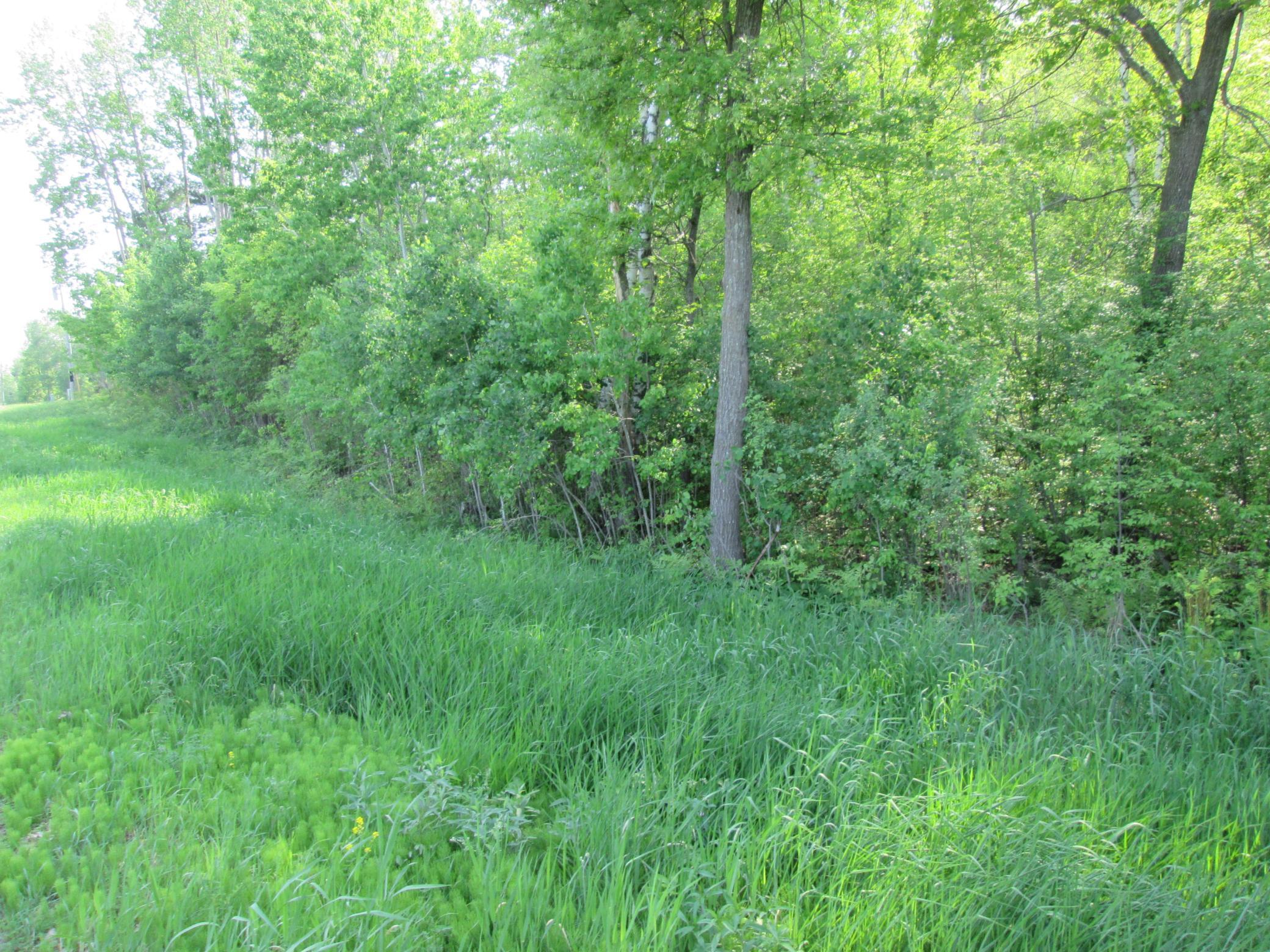 IMG_6827.JPG