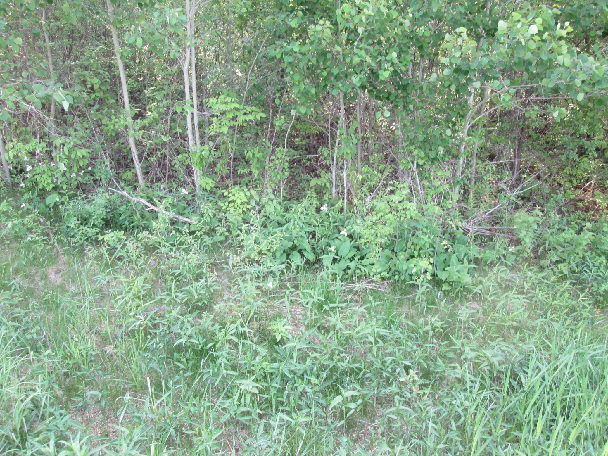IMG_6825.JPG