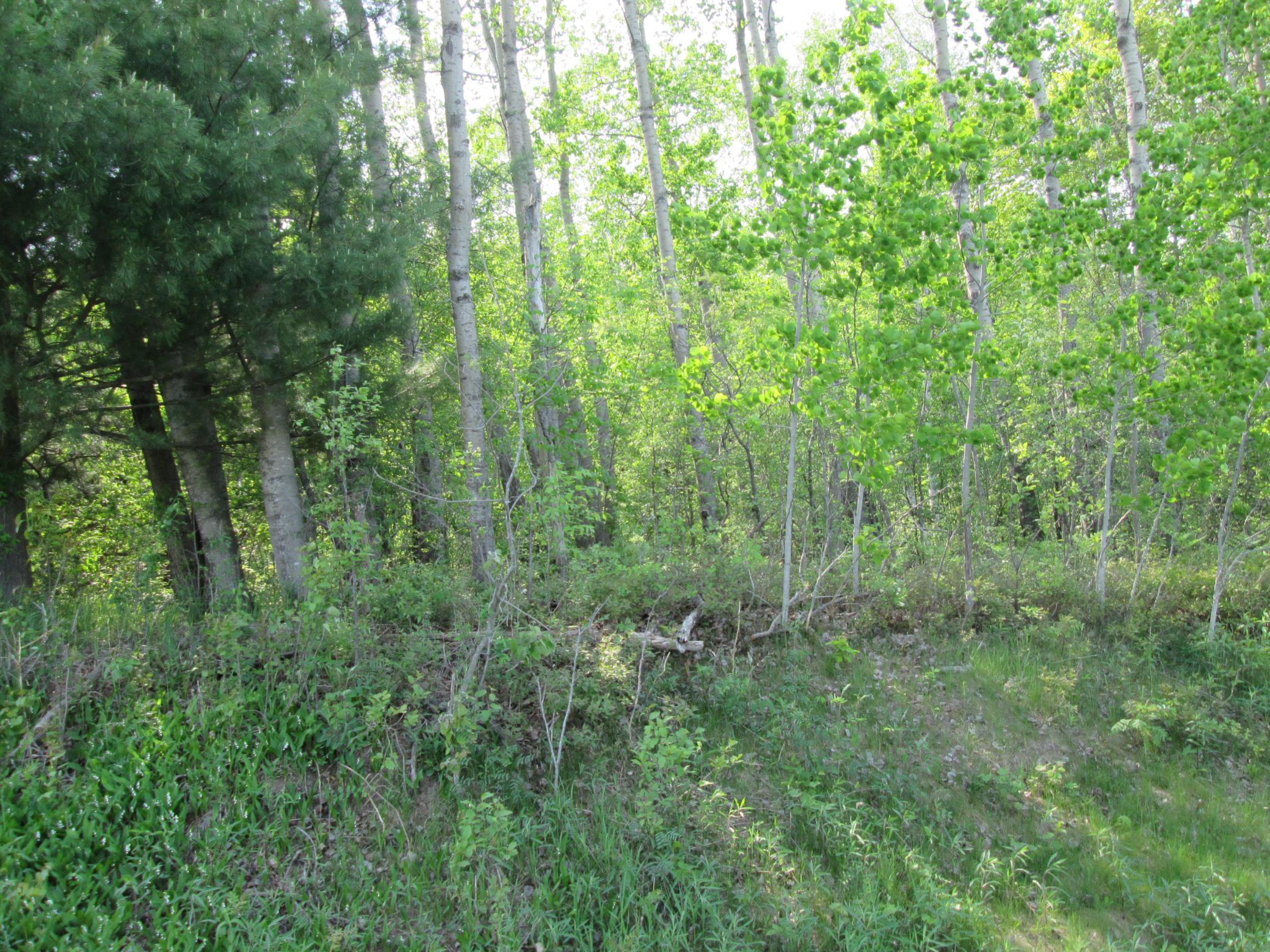 IMG_6822.JPG