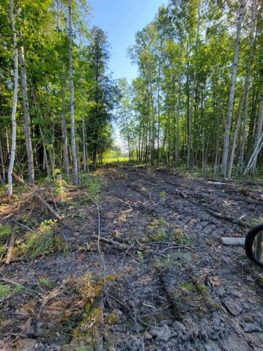 Lot 1 - TBD Driftwood Lane NW, Baudette, MN 56623