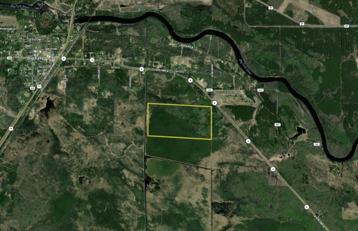 TBD Town Rd. 55 Far.png