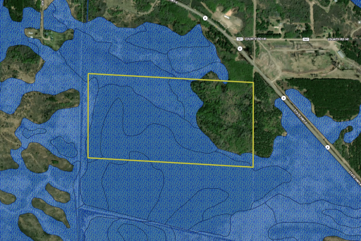 TBD Town Rd. 55 Wetland layer.png