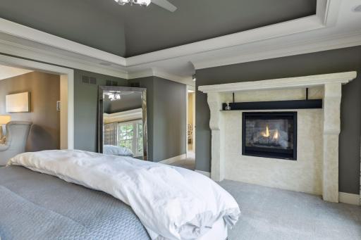 77 Monarch Way, North Oaks, MN 55127