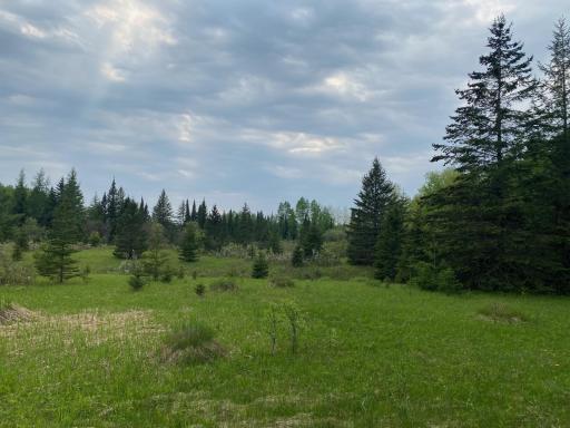 Photo for TBD Town Rd. 68, Gheen, MN 55771 - Listing #6377184 TBD Town Rd. 68, Gheen, MN 55771