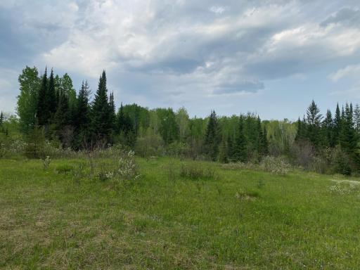 Photo for TBD Town Rd. 68, Gheen, MN 55771 - Listing #6377184 TBD Town Rd. 68, Gheen, MN 55771