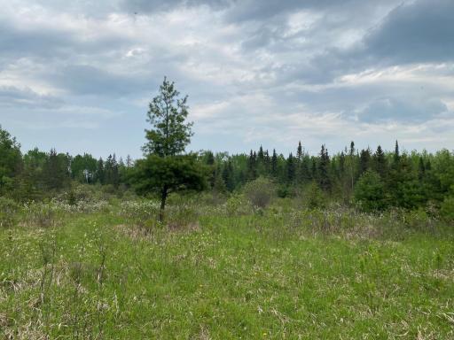 Photo for TBD Town Rd. 68, Gheen, MN 55771 - Listing #6377184 TBD Town Rd. 68, Gheen, MN 55771