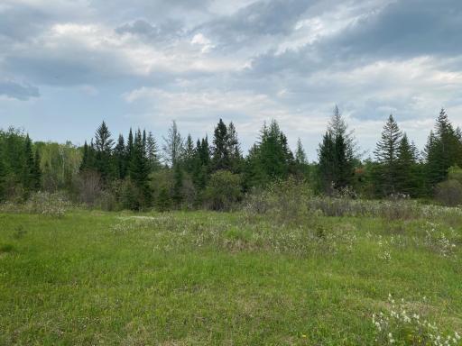 Photo for TBD Town Rd. 68, Gheen, MN 55771 - Listing #6377184 TBD Town Rd. 68, Gheen, MN 55771