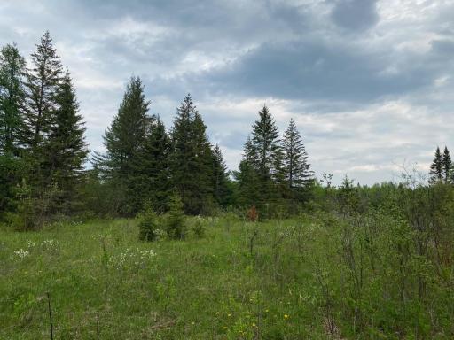 Photo for TBD Town Rd. 68, Gheen, MN 55771 - Listing #6377184 TBD Town Rd. 68, Gheen, MN 55771