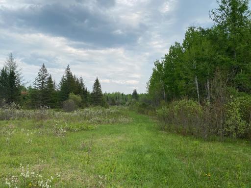 Photo for TBD Town Rd. 68, Gheen, MN 55771 - Listing #6377184 TBD Town Rd. 68, Gheen, MN 55771