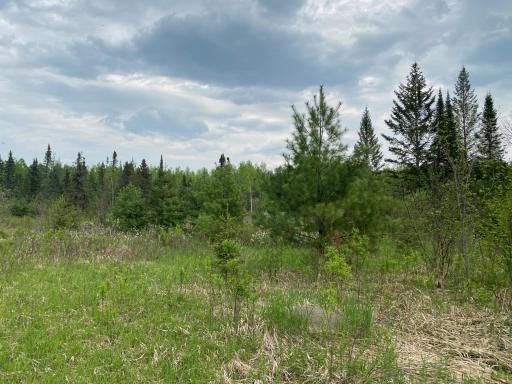 Photo for TBD Town Rd. 68, Gheen, MN 55771 - Listing #6377184 TBD Town Rd. 68, Gheen, MN 55771