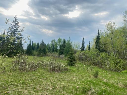Photo for TBD Town Rd. 68, Gheen, MN 55771 - Listing #6377184 TBD Town Rd. 68, Gheen, MN 55771