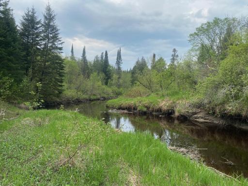 Photo for TBD Town Rd. 68, Gheen, MN 55771 - Listing #6377184 TBD Town Rd. 68, Gheen, MN 55771