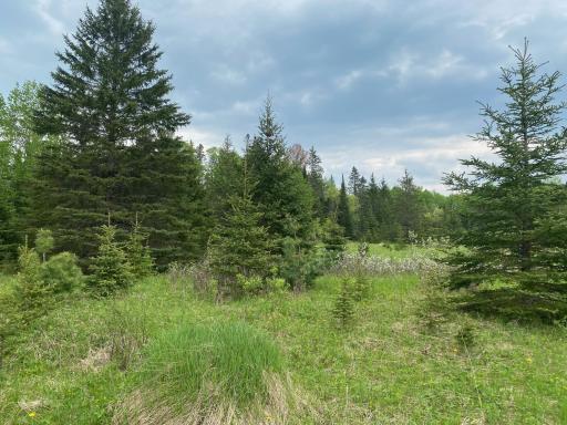Photo for TBD Town Rd. 68, Gheen, MN 55771 - Listing #6377184 TBD Town Rd. 68, Gheen, MN 55771