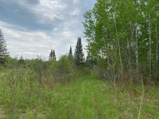 Photo for TBD Town Rd. 68, Gheen, MN 55771 - Listing #6377184 TBD Town Rd. 68, Gheen, MN 55771
