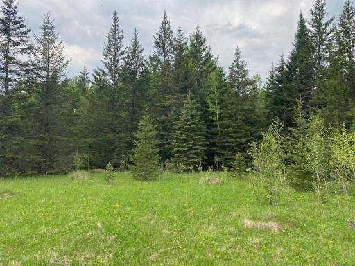 Photo for TBD Town Rd. 68, Gheen, MN 55771 - Listing #6377184 TBD Town Rd. 68, Gheen, MN 55771