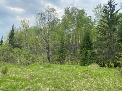 Photo for TBD Town Rd. 68, Gheen, MN 55771 - Listing #6377184 TBD Town Rd. 68, Gheen, MN 55771