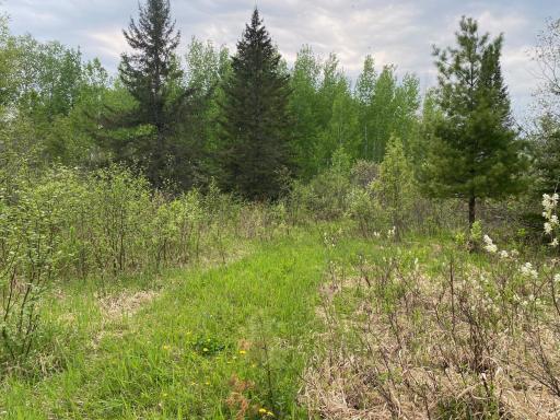Photo for TBD Town Rd. 68, Gheen, MN 55771 - Listing #6377184 TBD Town Rd. 68, Gheen, MN 55771