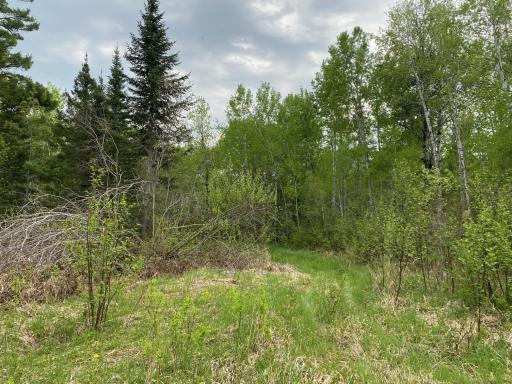 Photo for TBD Town Rd. 68, Gheen, MN 55771 - Listing #6377184 TBD Town Rd. 68, Gheen, MN 55771