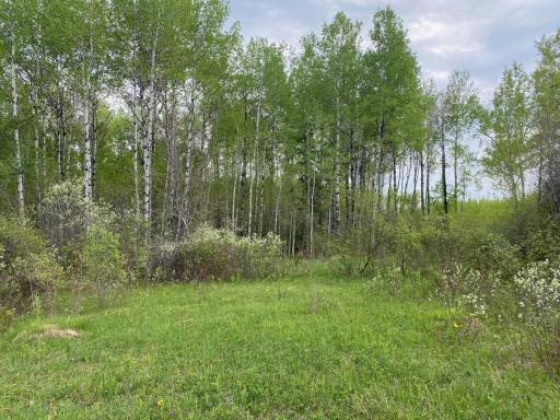 Photo for TBD Town Rd. 68, Gheen, MN 55771 - Listing #6377184 TBD Town Rd. 68, Gheen, MN 55771