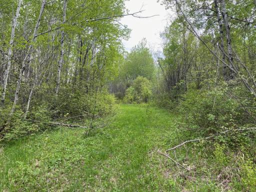 Photo for TBD Town Rd. 68, Gheen, MN 55771 - Listing #6377184 TBD Town Rd. 68, Gheen, MN 55771