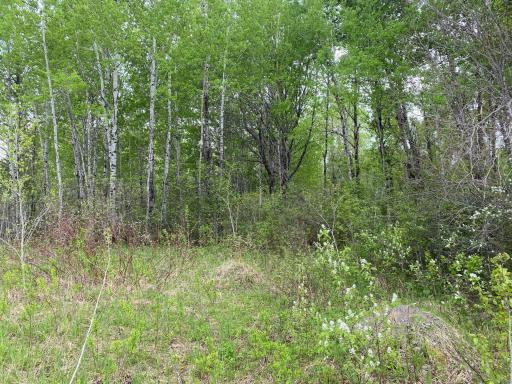 Photo for TBD Town Rd. 68, Gheen, MN 55771 - Listing #6377184 TBD Town Rd. 68, Gheen, MN 55771