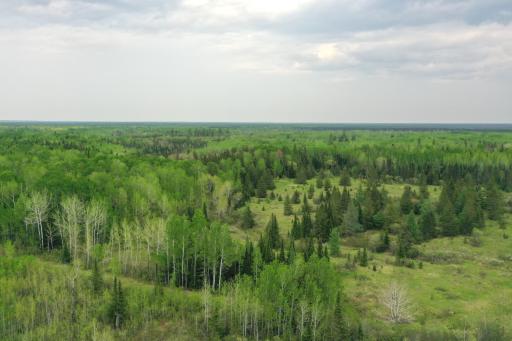TBD Town Rd. 68, Gheen, MN 55771