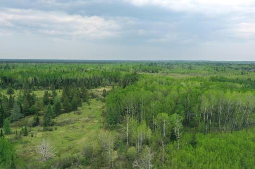 TBD Town Rd. 68, Gheen, MN 55771