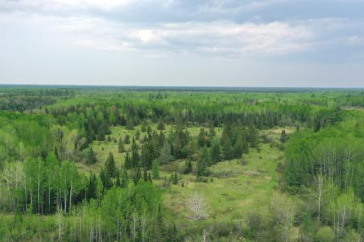 TBD Town Rd. 68, Gheen, MN 55771