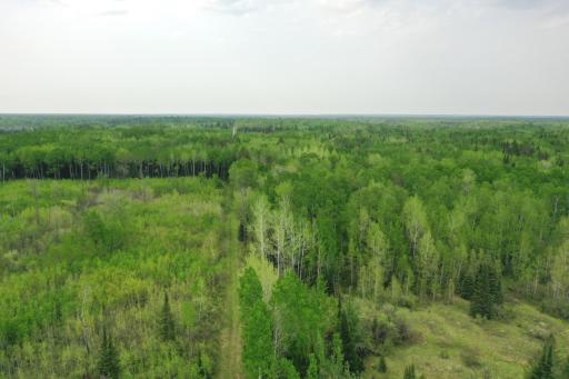 TBD Town Rd. 68, Gheen, MN 55771