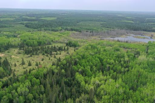 TBD Town Rd. 68, Gheen, MN 55771