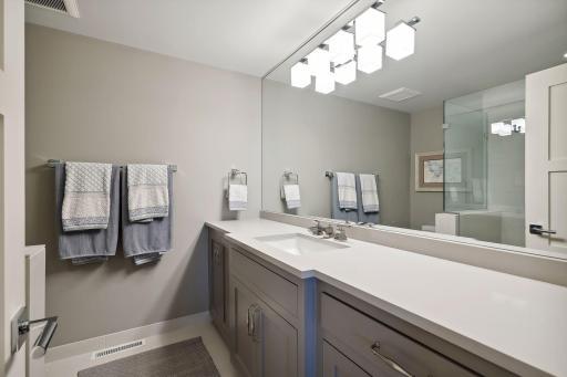 Lower Level Bathroom