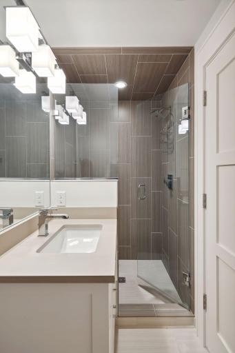 Lower Level Bathroom