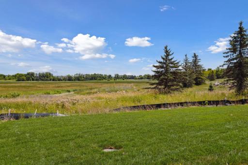 1595 Marsh Pointe Court, Medina, MN 55340