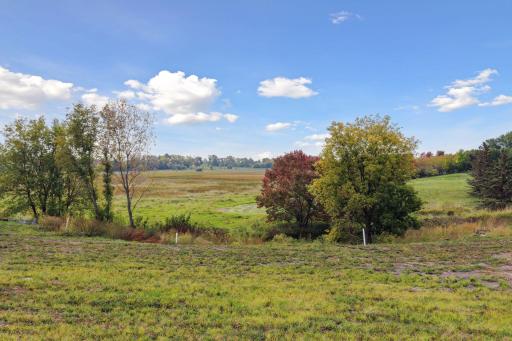 1595 Marsh Pointe Court, Medina, MN 55340
